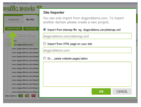 optimizing your content with on page seo traffic travis